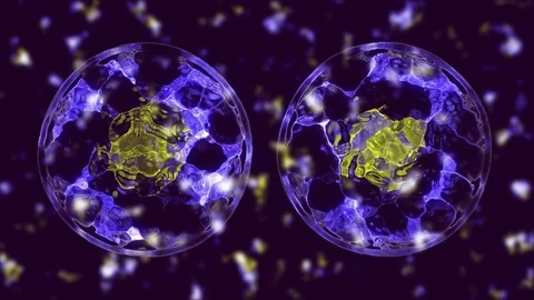 Cell divide Stock Footage 84174130