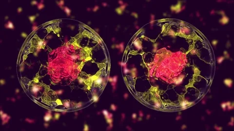 Cell divide Stock Footage 84174134