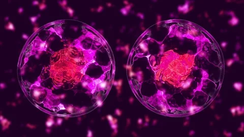 Cell divide Stock Footage 84174136