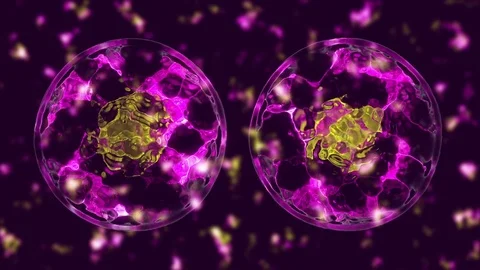 Cell divide Stock Footage 84175005