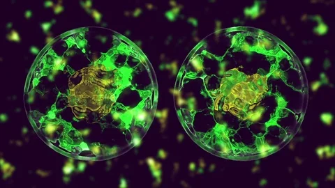 Cell divide Stock Footage 84175009