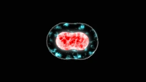 The cell is divided into four concept of mutation and evolution animation Stock-Footage 89243056