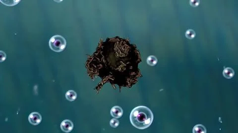 The cell is divided into four concept of mutation and evolution illustration Illustrazione stock