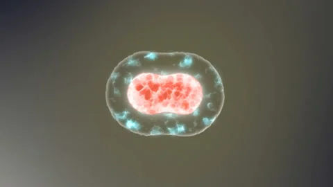 The cell is divided into two concept of mutation and evolution animation Stock-Footage 89241909