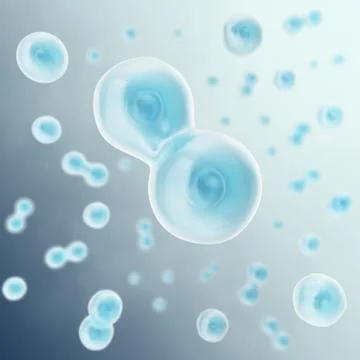 Cell divides into two cells, scientific backgorund. 3d illustration Stock Illustration