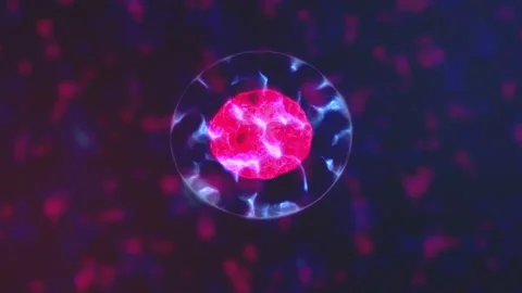 Cell dividing Stock Footage 134878331