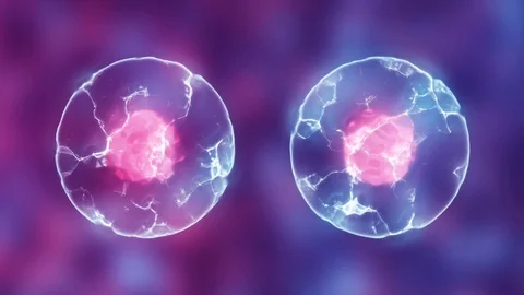 Cell dividing. Microbiology. 3D animation. Stock Footage 74054073
