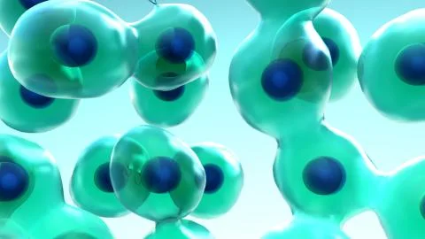 Cell Division and Growth, process by which a parent cell divides into two or mor Stock Illustration