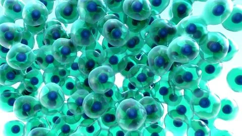 Cell Division and Growth, process by which a parent cell divides into two or mor Stock Illustration