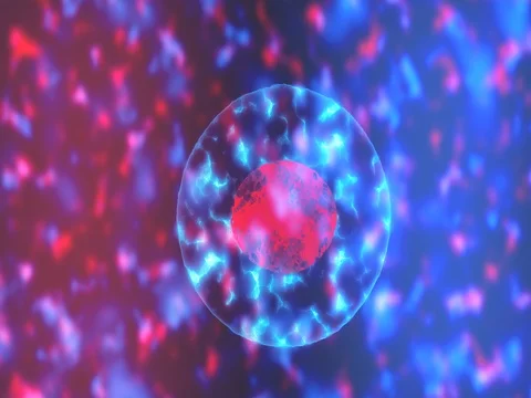 Cell Division Animation Stock Footage 72317340