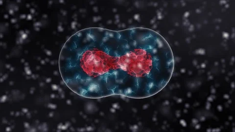 Cell Division black version background in 4K. Medical and science concept 3D Stock Footage 91193638