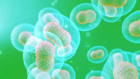 Cell division chemically on green screen Stock Footage 314125613