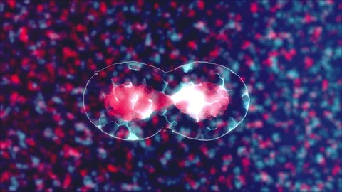 Cell division - Cool dividing cell effect Stock Footage 127832484