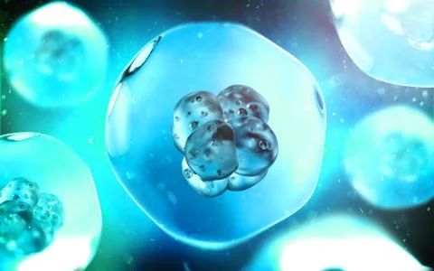 Cell division on a dark blue background. 3D illustration Illustrazione stock