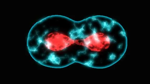 Cell division, Division of a cell, mitosis concept, 3D illustration Stock Illustration