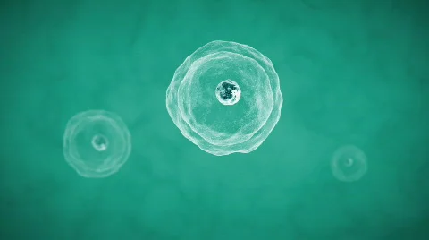 Cell division Video stock 624576