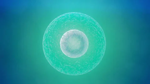 Cell division Stock Footage 45265562