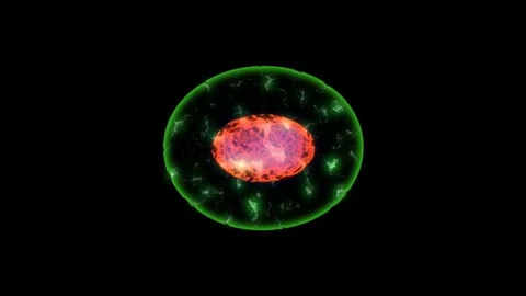 Cell division. Видео 70994991