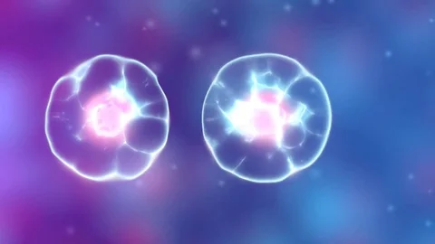 Cell division Stock Footage 81243442
