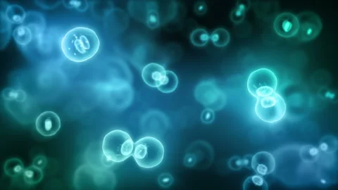 Cell Division Stock Footage 91614629