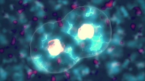 Cell division Stock Footage 105223217