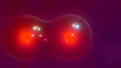 Cell division Stock Footage 129568919