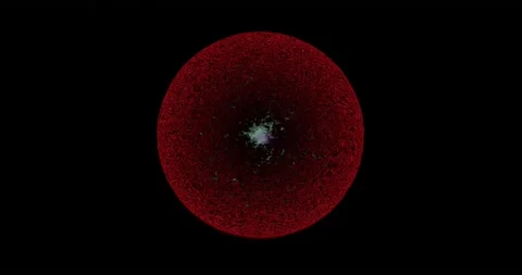 Cell division Stock Footage 136448799