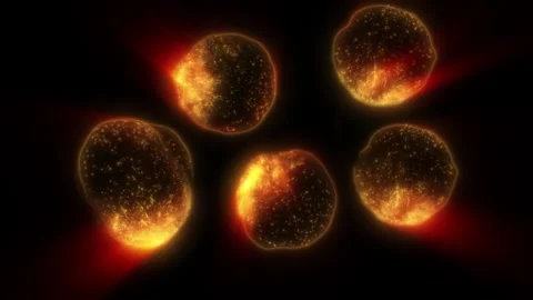 A cell division Stock Footage 318469134