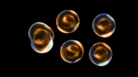 A cell division Stock Footage 318470495