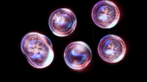 A cell division Stock Footage 318470506