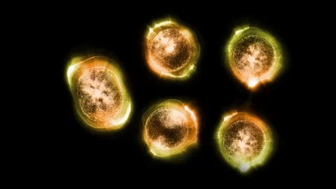 A cell division Stock Footage 318471822