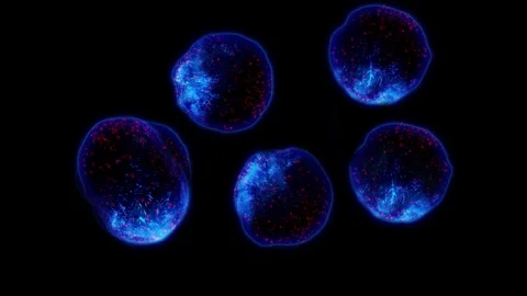 A cell division Stock Footage 318472583