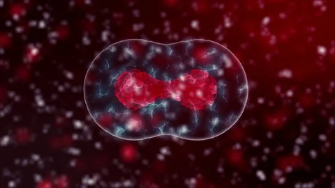 Cell Division, generic cell dividing with copy space, stem cells dividing Stock Footage 85287734