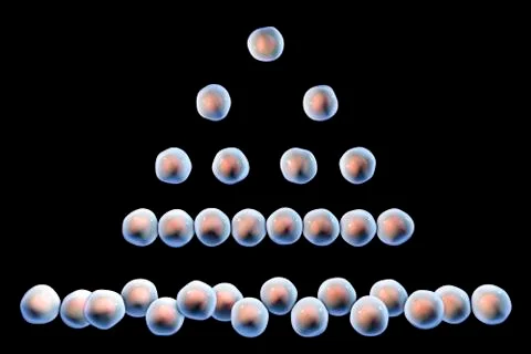 Cell division, illustration Illustrazione stock
