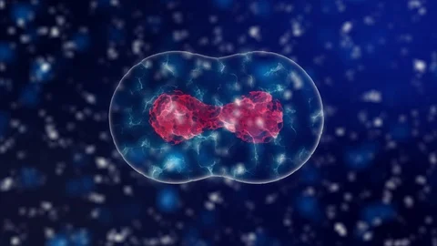 Cell division microbiology background with purple cell nucleus and blue neon Stock Footage 86621771