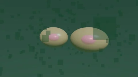 Cell Division Mitosis 4K Video stock 338383477