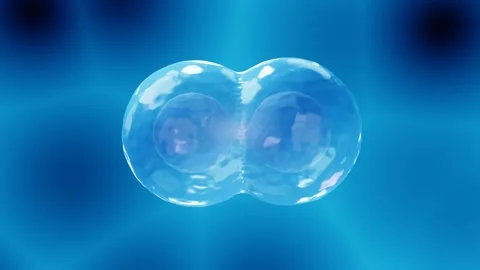 Cell division, Mitosis Stock Footage 168773071