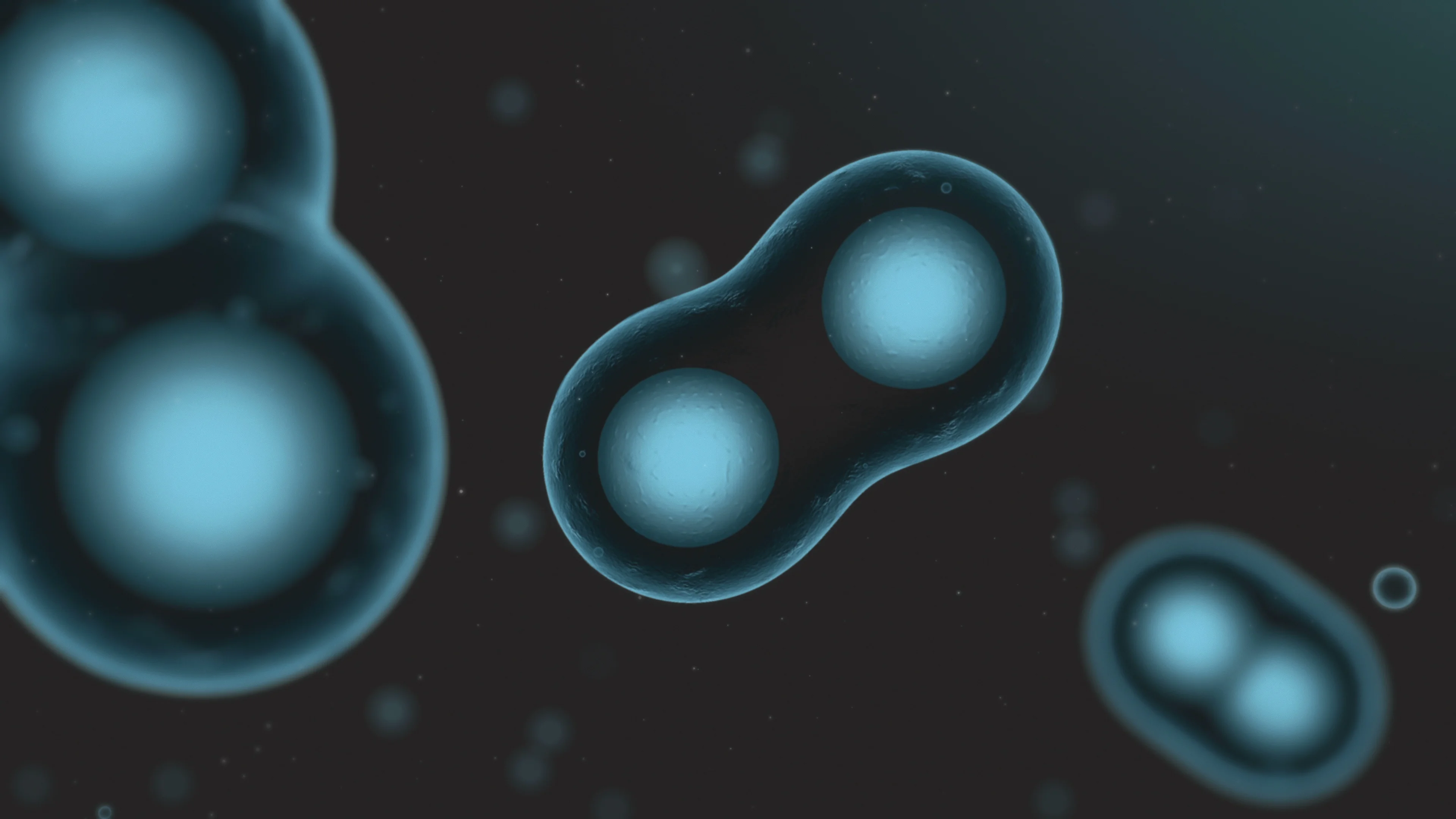 Cell Division. Stages of Mitosis. Cellular Therapy. 3d Render Stock  Illustration - Illustration of embryo, medical: 220134226