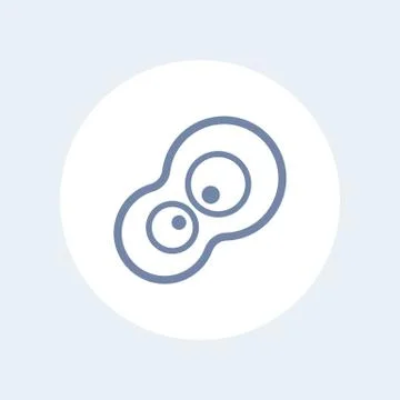 Cell division, mitosis vector icon Stock Illustration