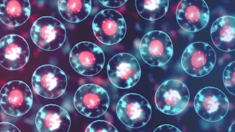 Cell Division More Stock Footage 72894083