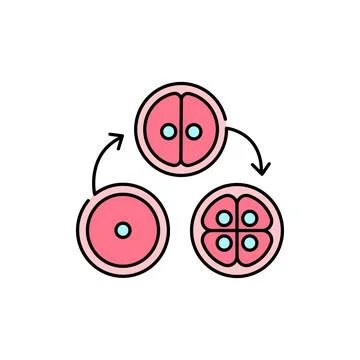 Cell division olor line icon. Pregnancy. Pictogram for web page, mobile app,  Stock Illustration