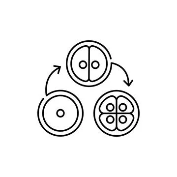 Cell division olor line icon. Pregnancy. Pictogram for web page, mobile app,  Stockillustratie