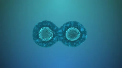 Cell division or cell cloning Stock Footage 197899207