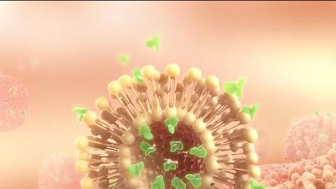 Cell Division or Cell formation Stock Illustration