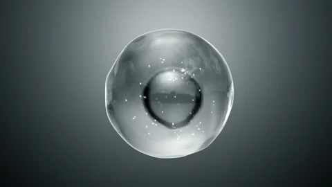 Cell Division or Cloning Cells Stock Footage 106247265