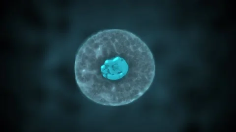 Cell Division or Cloning Cells Stock Footage 114316128