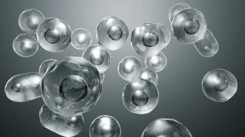 Cell Division or Cloning Cells Stock Illustration