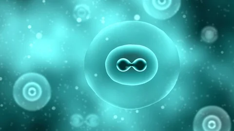 Cell division process Stock Footage 89864666