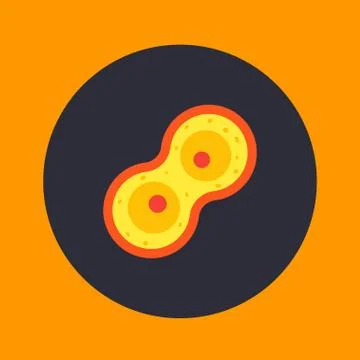 Cell division process, mitosis icon, vector illustration Illustrazione stock