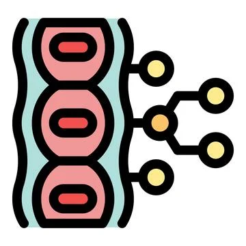 Cell division process showing biological development and growth Stock Illustration